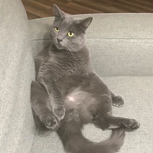 Meet your Posher, Stacie